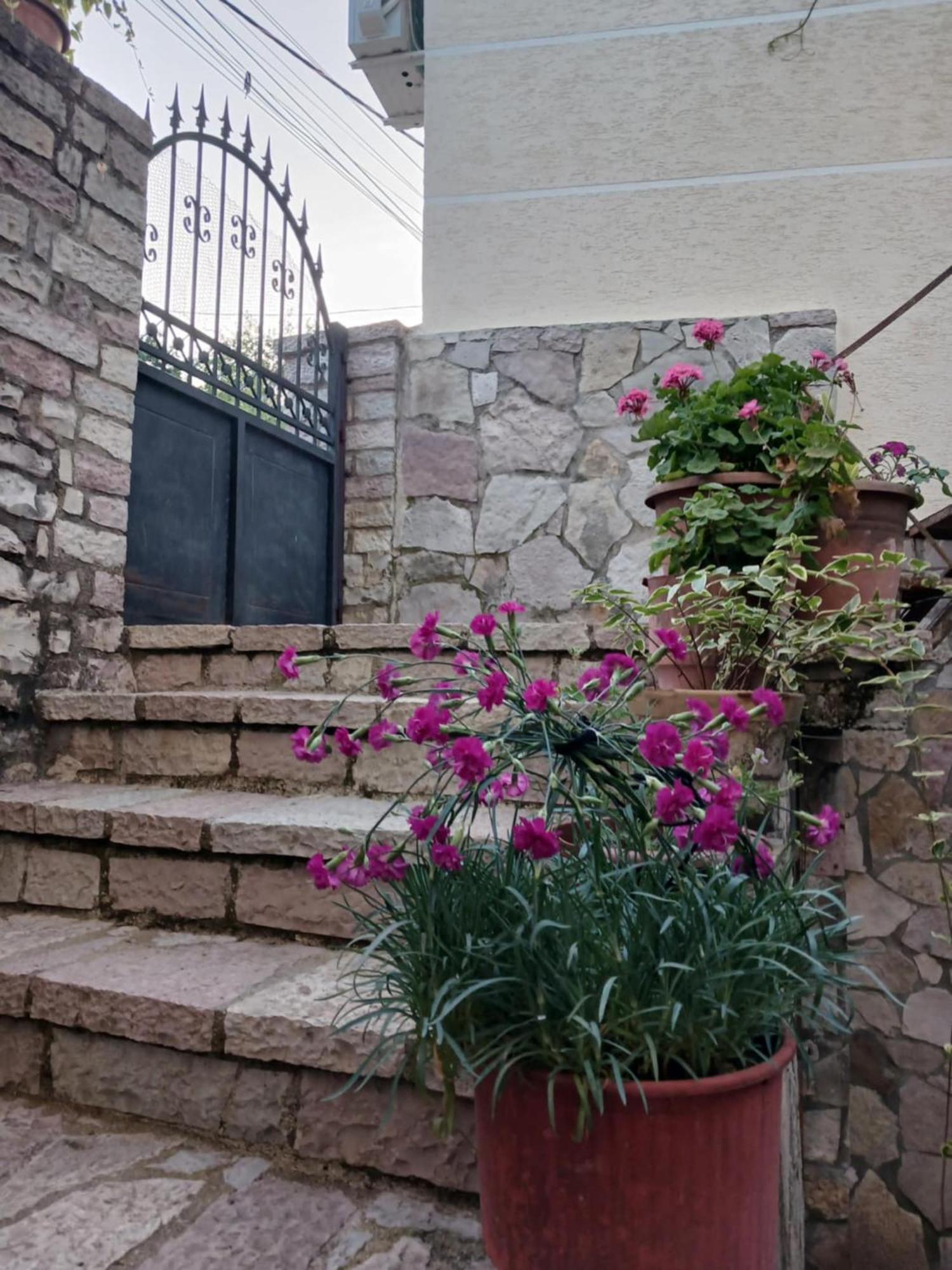 Eniguesthouse Gjirokastër Exterior foto